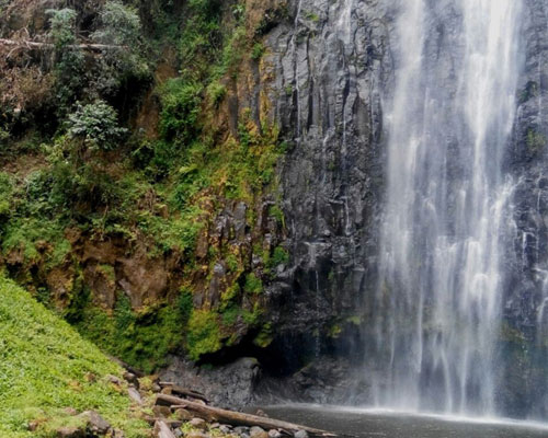 Materuni Waterfalls & Coffee