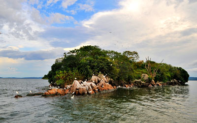 Rubondo Island