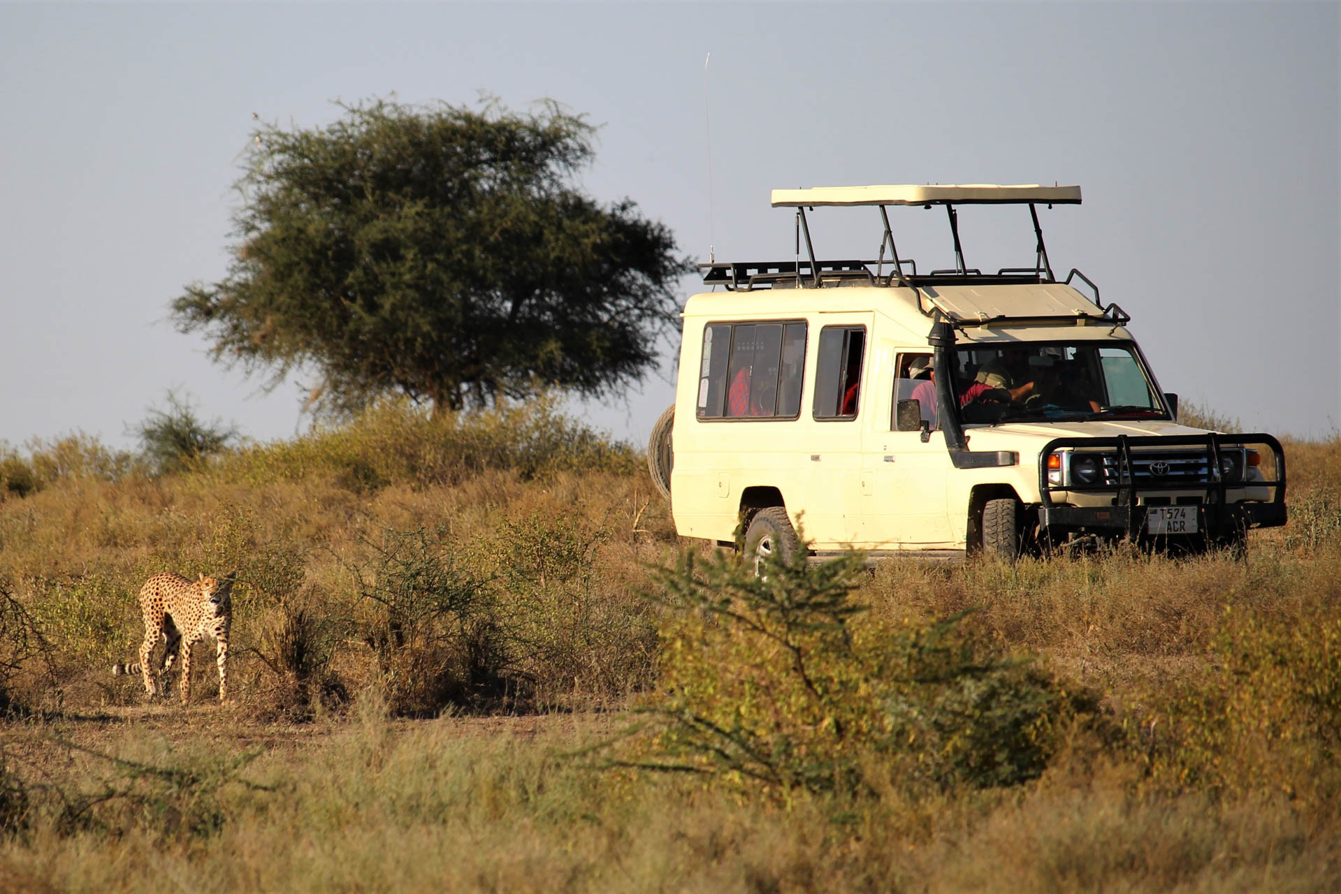 Tanzania Safari Holidays (47)