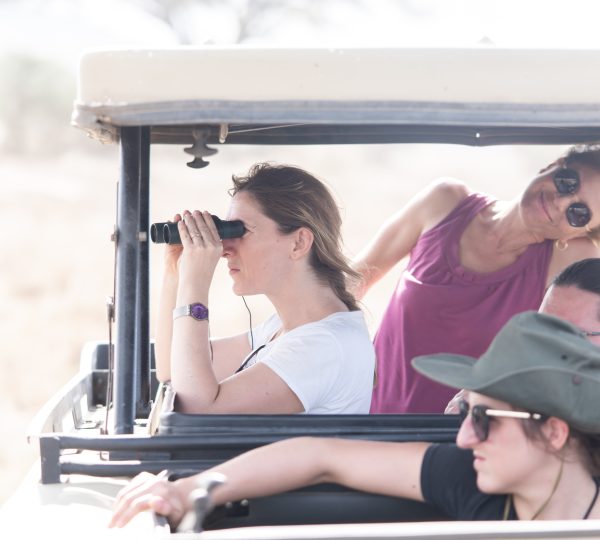 3 Days Serengeti & Ngorongoro Safari