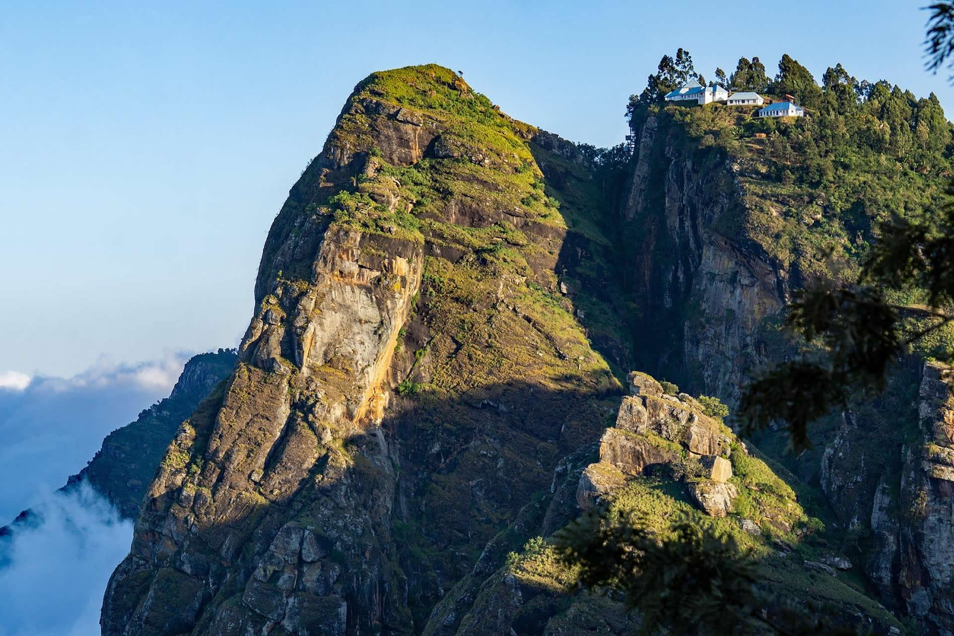 usambara Mountains (6)