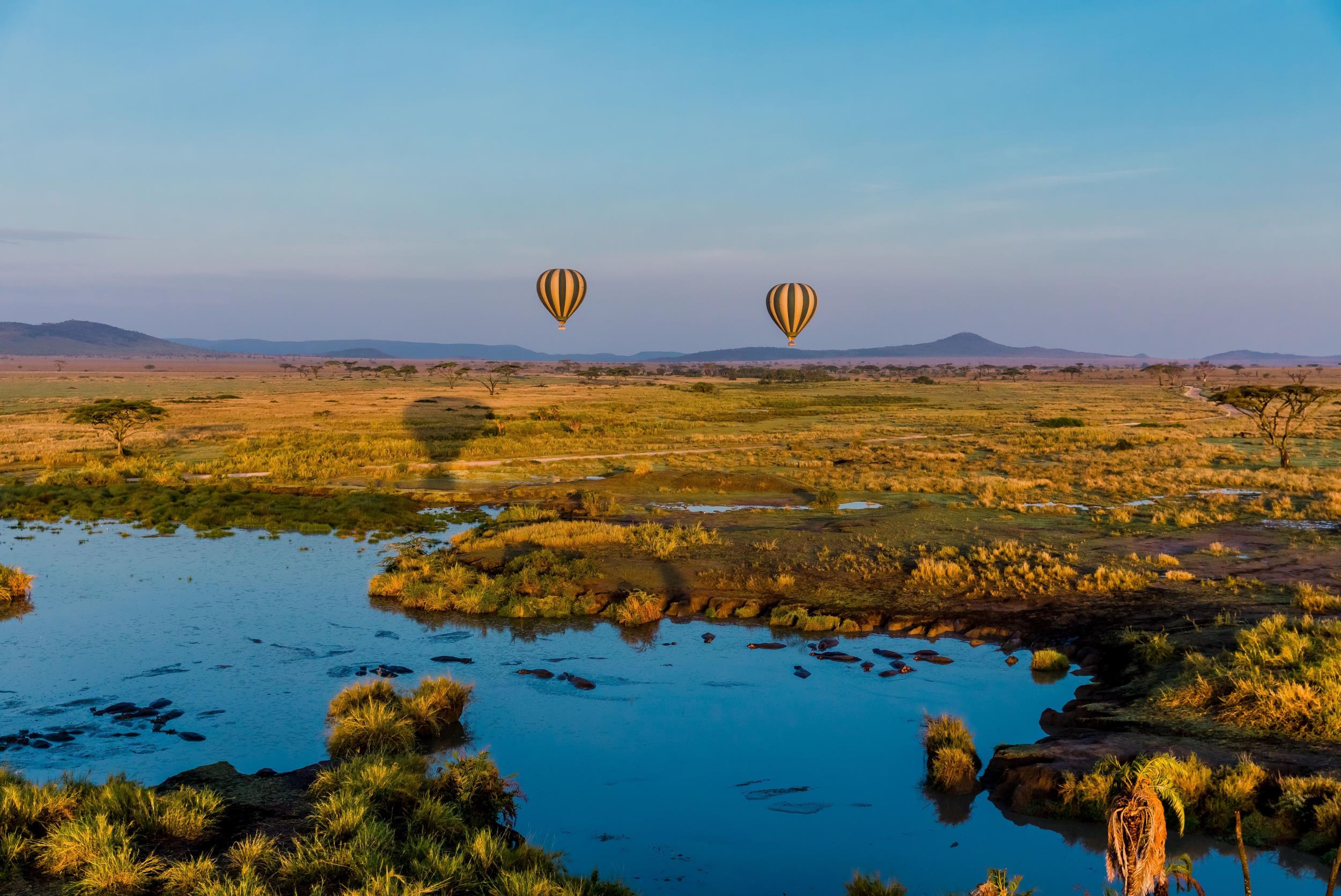 Balloon Safari