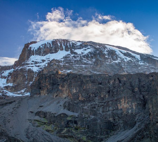 12 Days Kilimanjaro & Safari Adventure